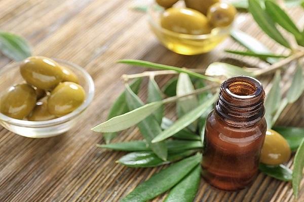 olive leaves will control sugar