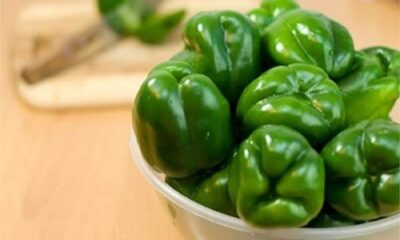 Capsicum Health benefits