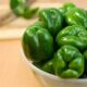 Capsicum Health benefits