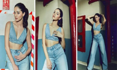 Ananya Pandey did a wonderful photo shoot, posed in a bold style