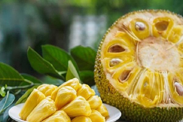 Consuming jackfruit is beneficial for thyroid patients