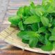 Include mint in the diet in these 5 ways
