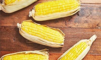 Consuming corn is beneficial for eyesight