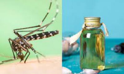 Mosquito Home Remedies