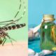 Mosquito Home Remedies