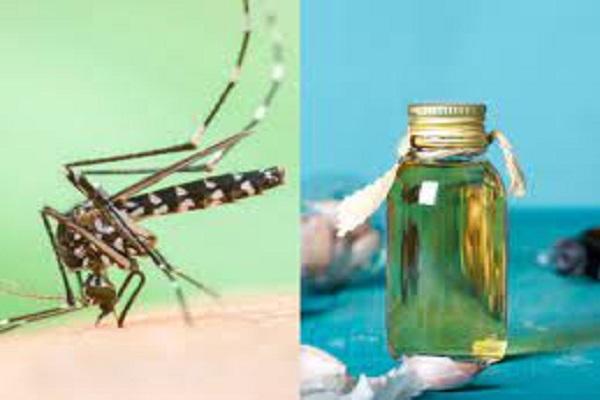 Mosquito Home Remedies