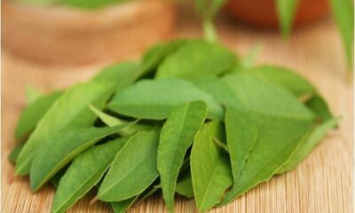 Let's know how eating curry leaves is beneficial for a diabetic patient