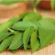 Let's know how eating curry leaves is beneficial for a diabetic patient