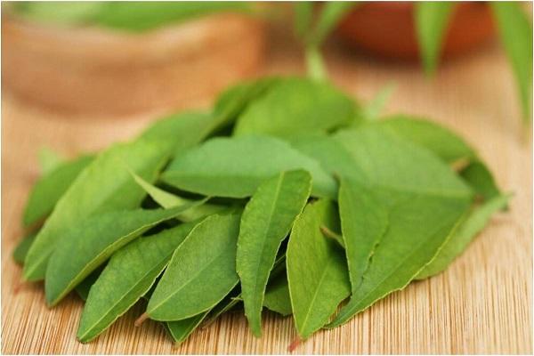 Let's know how eating curry leaves is beneficial for a diabetic patient