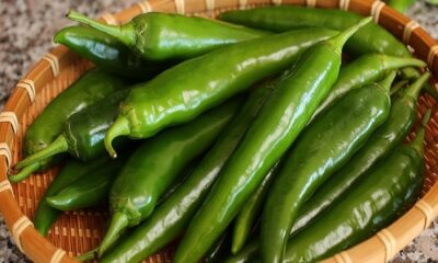 If you want to improve eyesight, eat green pepper