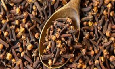 Only 2 cloves remove many diseases of the body