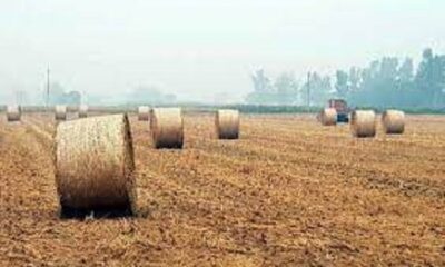 Online application till August 15 to get subsidy on farmer stubble handling machines