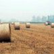 Online application till August 15 to get subsidy on farmer stubble handling machines