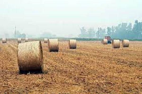 Online application till August 15 to get subsidy on farmer stubble handling machines