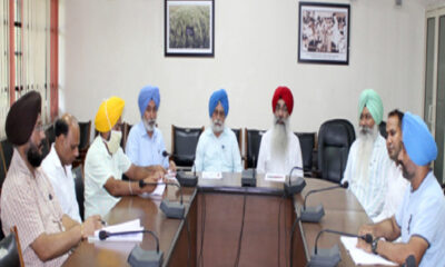 Panjab Agricultural University discovered the cause of the wilting of paddy