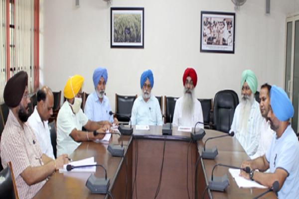 Panjab Agricultural University discovered the cause of the wilting of paddy
