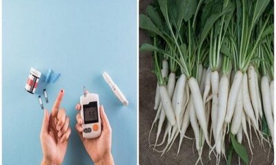 Radish is the best way to control sugar, do you know how to consume it?