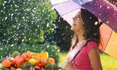 Monsoon Food diet tips