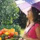 Monsoon Food diet tips