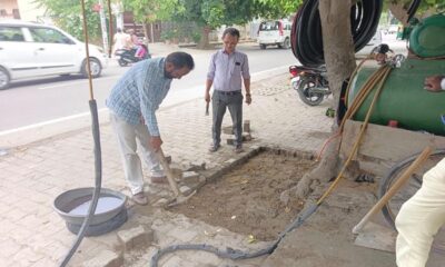 Removed interlocking tiles placed around trees in colonies