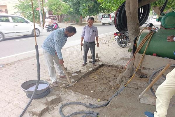 Removed interlocking tiles placed around trees in colonies