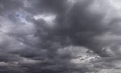 Monsoon will come in many districts including Ludhiana today, know the alert of the Meteorological Department