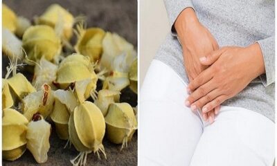 Many diseases are caused by amla seeds, this disease of women will be removed by consuming it