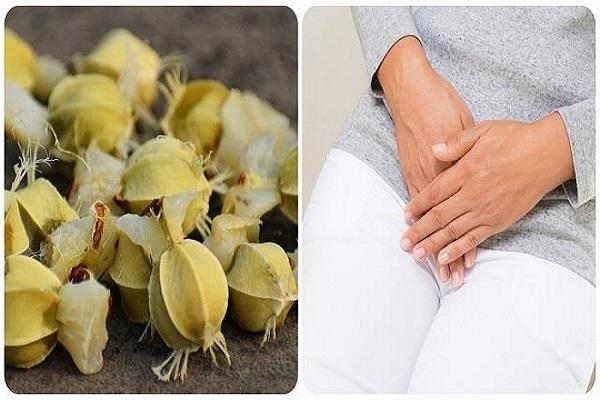 Many diseases are caused by amla seeds, this disease of women will be removed by consuming it