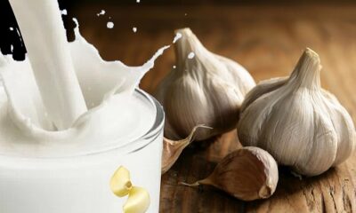 Garlic milk is beneficial in relieving back pain