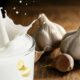 Garlic milk is beneficial in relieving back pain