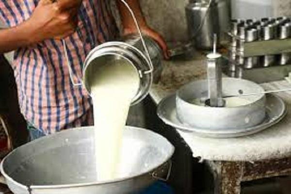 Free training is being given to Scheduled Caste beneficiaries by the Dairy Development Department