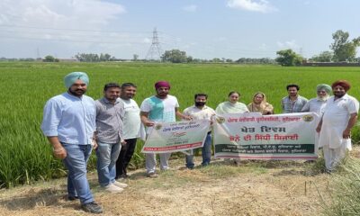 PAU Organized a field day on direct sowing of paddy at Rakba