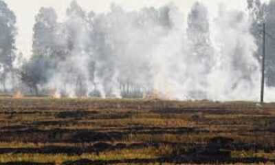 The Agriculture and Farmers Welfare Department organized a camp on non-burning of stubble