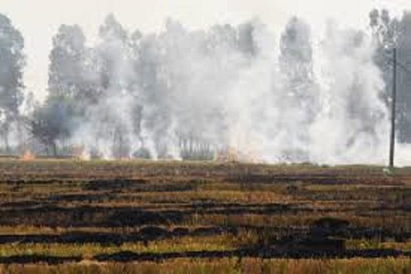 The Agriculture and Farmers Welfare Department organized a camp on non-burning of stubble