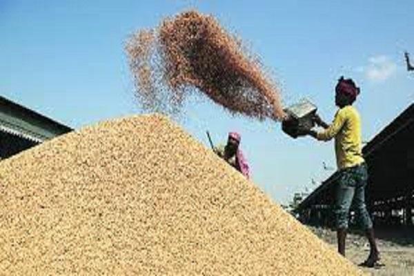 Administration pubs load to ensure smooth and smooth procurement of paddy