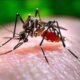 Another case of dengue, swine flu spread in the rain came to light