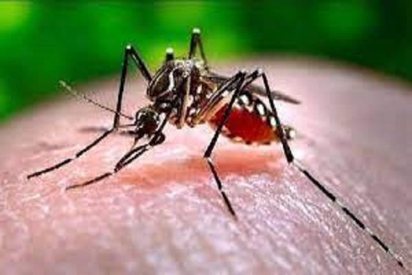 Another case of dengue, swine flu spread in the rain came to light