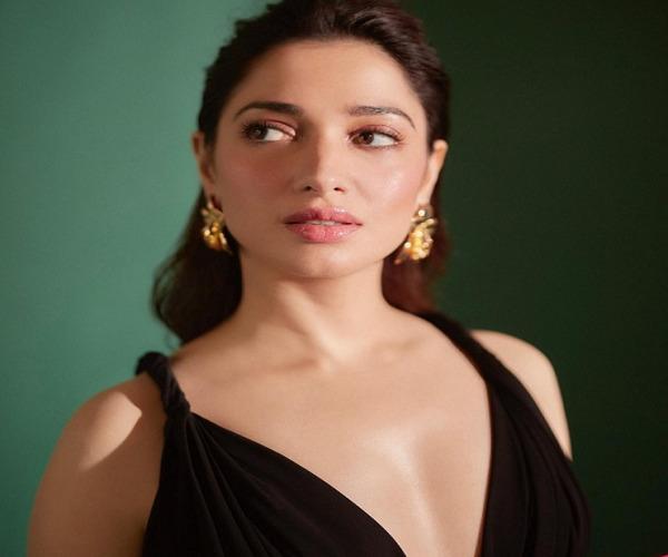 Tamannaah Bhatia created havoc in the gown, giving a killer pose in the pictures