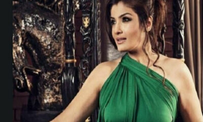 Raveena Tandon will return with this powerful film, the film will be made under Arbaaz Khan production banner.