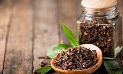 Clove is a treatment for toothache and gum inflammation, do you know its tremendous benefits?