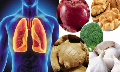 The health of the lungs is most important, these Super Foods will keep them safe from diseases