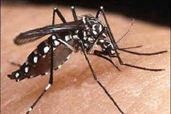 Outbreak of dengue and swine flu in Ludhiana district, health department appeal to the people