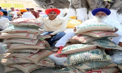 PAU Heavy demand for seeds from farmers in regional fairs