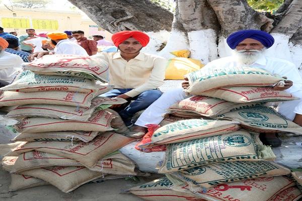 PAU Heavy demand for seeds from farmers in regional fairs