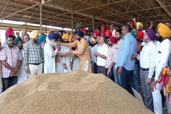 Farmers should not burn straw to save Punjab's water, air and land from pollution: Kuldeep Dhaliwal