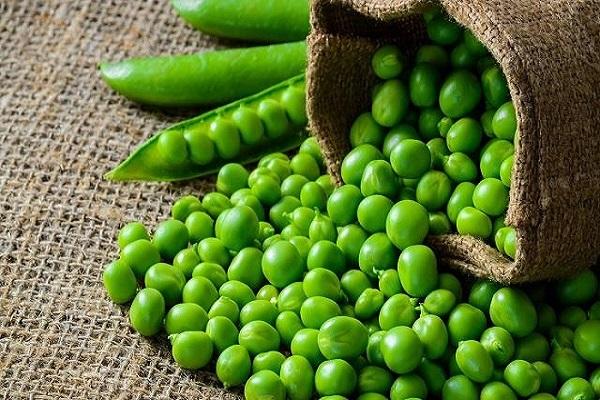 Green peas are good for the heart, know more powerful benefits?