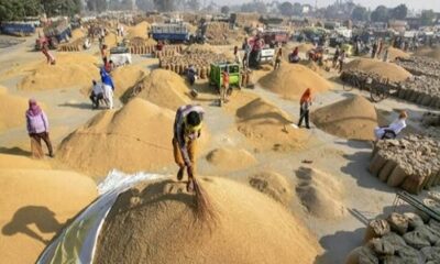 The purchase of paddy in the state will start from today, the government claims that every grain will be purchased