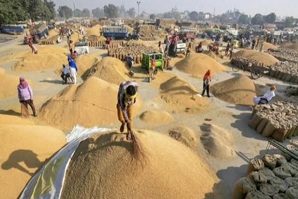 The purchase of paddy in the state will start from today, the government claims that every grain will be purchased