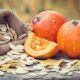 Pumpkin seeds will remove stress, you will get relief from many problems