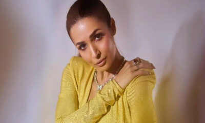 Malaika Arora made people crazy with 'Munni Badnam Hoi', today she is the mistress of crores.